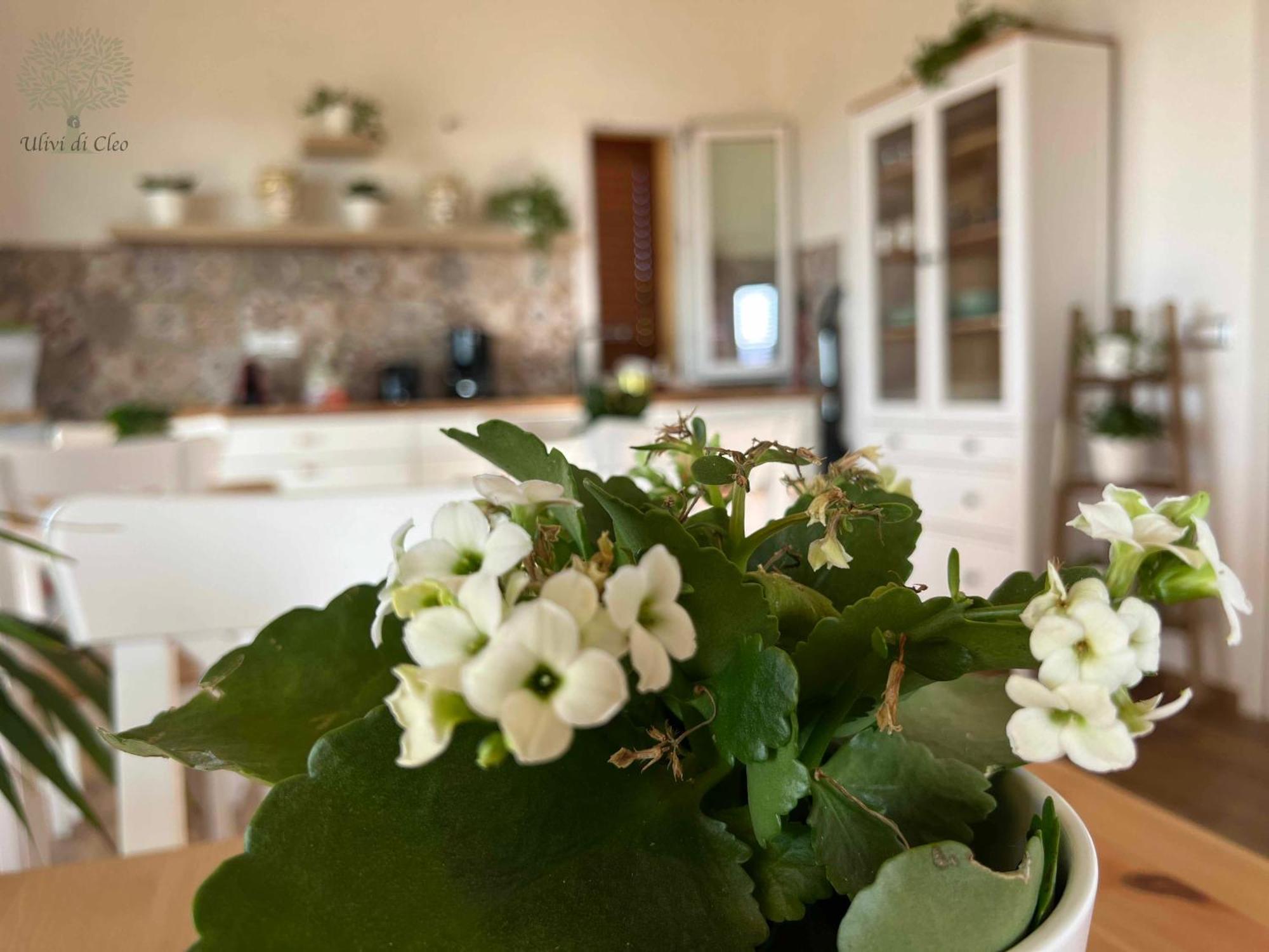 Ulivi Di Cleo Guest House Realmonte Bagian luar foto