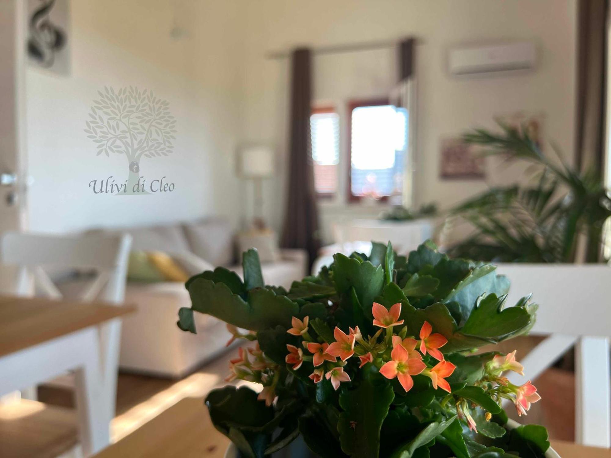 Ulivi Di Cleo Guest House Realmonte Bagian luar foto