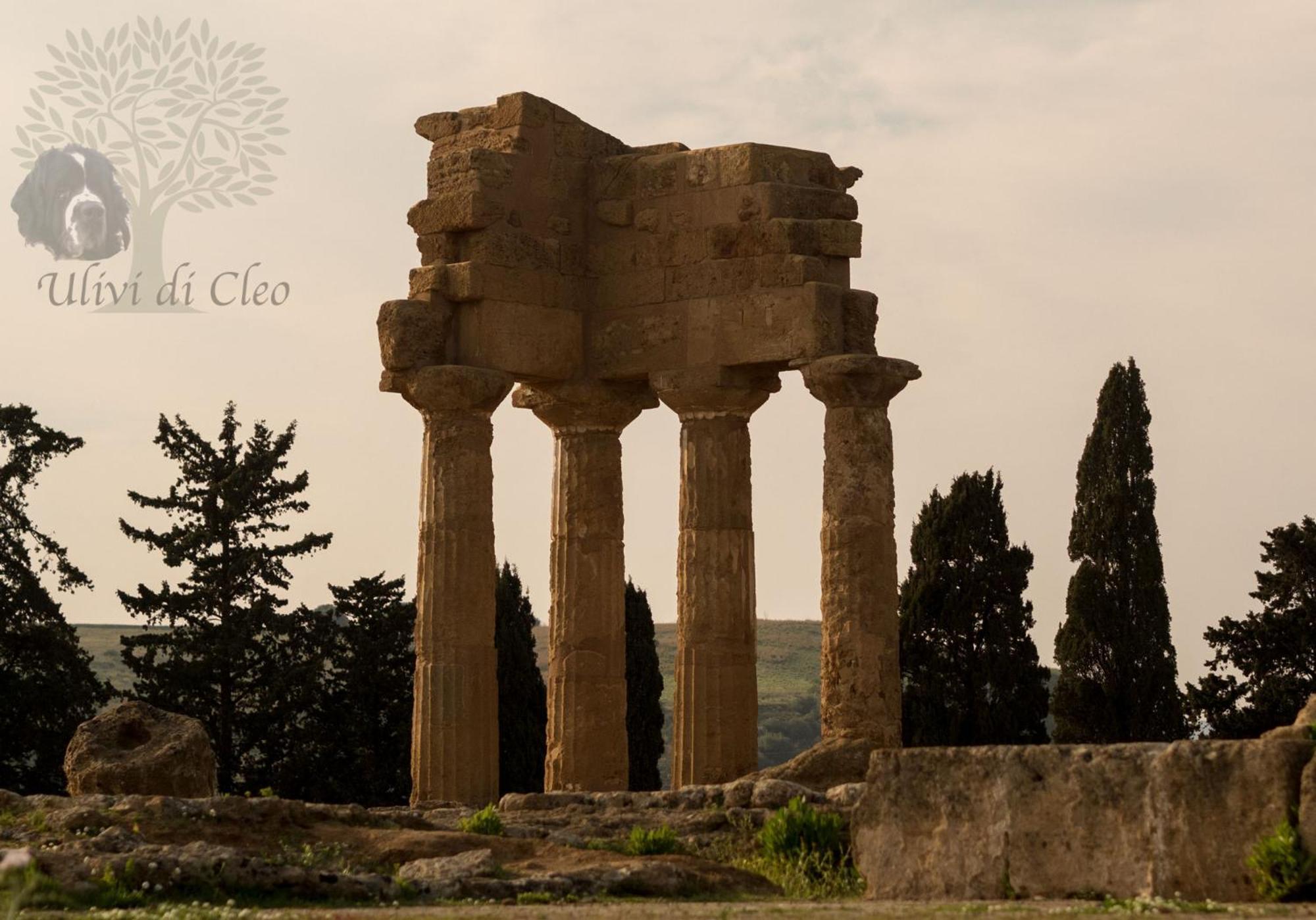 Ulivi Di Cleo Guest House Realmonte Bagian luar foto