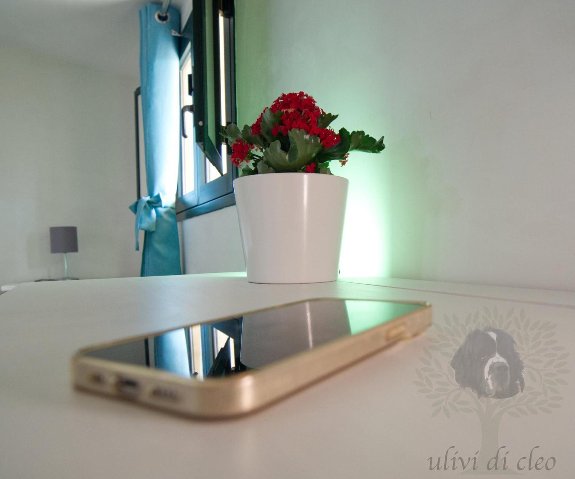 Ulivi Di Cleo Guest House Realmonte Bagian luar foto