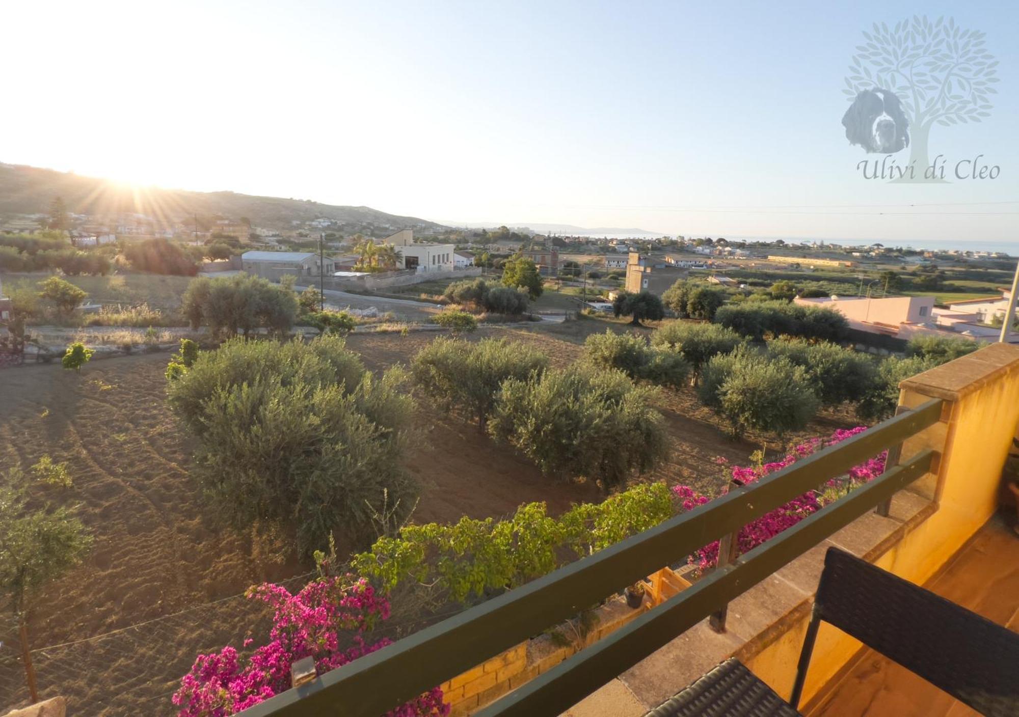Ulivi Di Cleo Guest House Realmonte Bagian luar foto